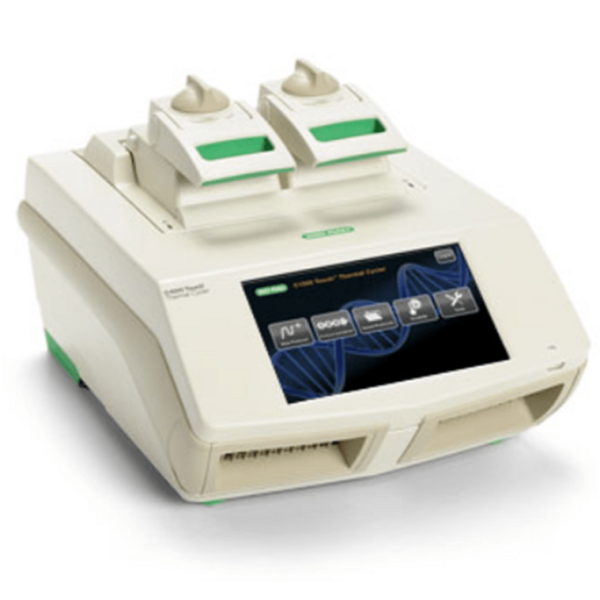 C1000 Touch Thermal Cycler